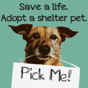 Save a life. Adopt a shelter pet.