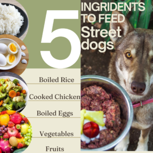 5 nutritious ingredients to feed Dogs